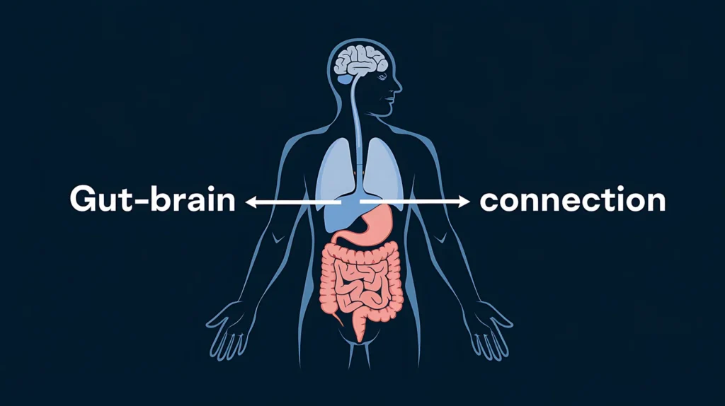 Gut Brain Connection